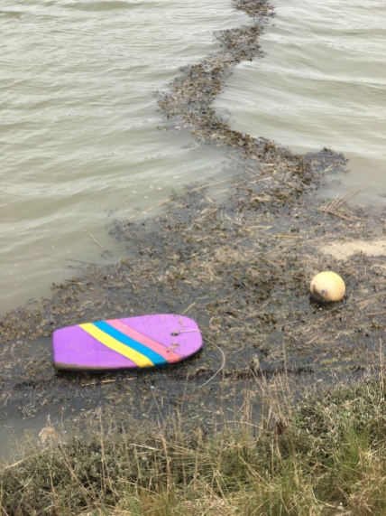 surf board, buoy and seaweed